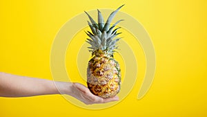 Pineapple in female hand. Ripe juicy pineapple tropic fruit isolated on yellow color background. Minimalistic summer