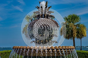 Pineapple Fountain, Charleston SC photo