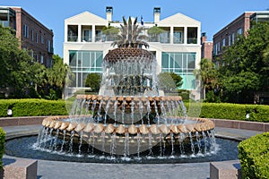 The Pineapple Fountain