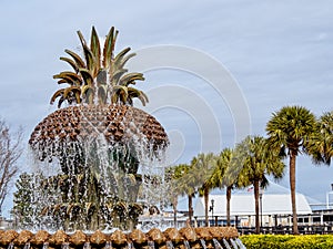 Pineapple Fountain and palm trees in Waterfront Park, Charleston, SC