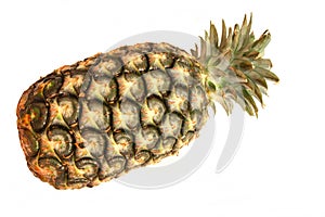 Pineapple fresh fruits or vegetables isolated on white background closeup.