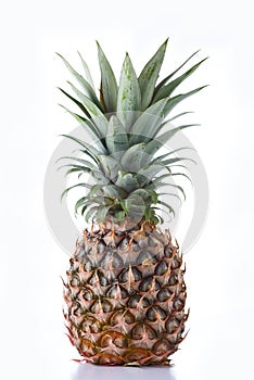 Pineapple fruit