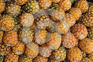 Pineapple Fruit