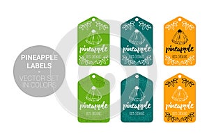 Pineapple fruit Eco labels vector set in green, dark green and orange colors.