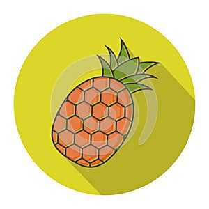 Pineapple fruit flat vector icon for apps and websites on a color background