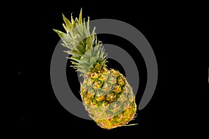 Pineapple fruit isolated on black background. Ripe pineapple isolated on black background