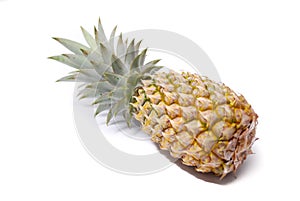 Pineapple local fruit