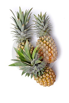 Pineapple local fruit