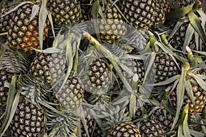 Pineapple fruit market in thailand , It's more palatable