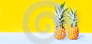 Pineapple fruit, minimal style
