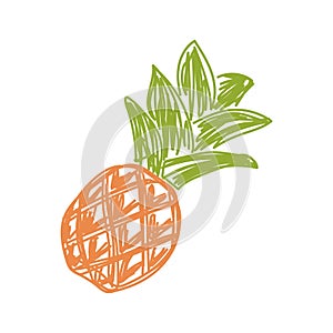 Pineapple fruit sketch. Color vector illustration. Pen or marker doodle drawing