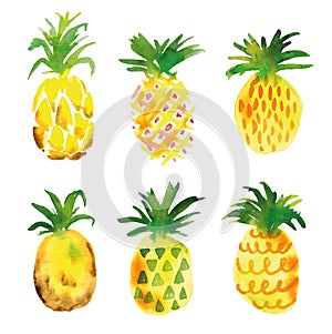 Pineapple fruit and slices set.