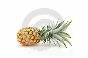 Pineapple with green leaves isolated on white background