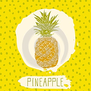 Pineapple hand drawn sketched fruit with leaf on blue background with dots pattern. Doodle vector pineapple for logo, label, brand