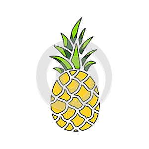 Pineapple icon