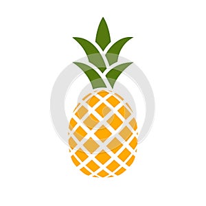 Pineapple icon. Tropical fruit. Useful organic natural fruit.