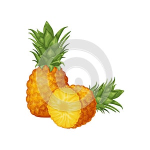 Pineapple. Image of pineapple cut into pieces. Pieces of ripe pineapple. Sweet tropical fruit. Vector illustration