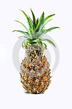 Pineapple isolate white background photo