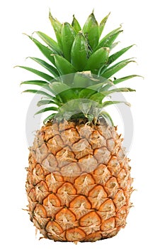 Pineapple isolated photo