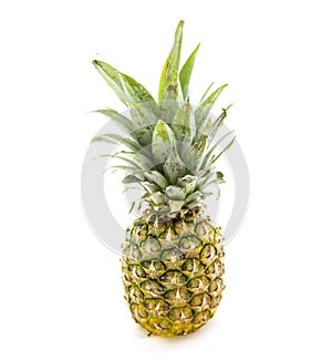 Pineapple Isolated