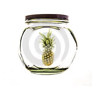 Pineapple Isolated