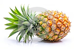 A pineapple isolated on a white background