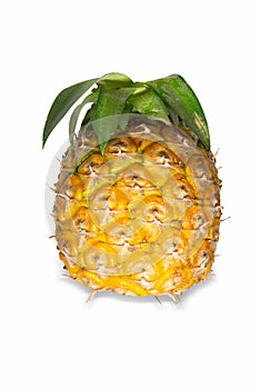 Pineapple isolated on white background with clipping path