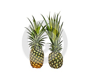 Pineapple isolated white background with clippingpath