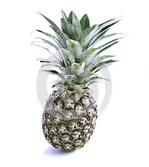Pineapple isolated on white background