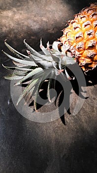 Pineapple and its shadow on the cement floor.