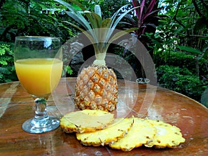Pineapple juice is a pineapple drink,a type of tropical plant originating from Brazil,Bolivia and Paraguay.