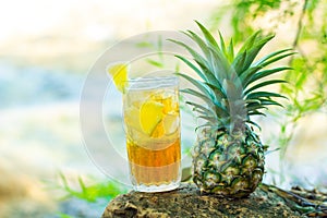 Pineapple juice to refresh,copy space