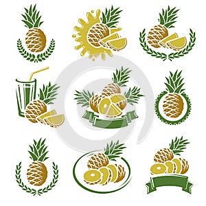 Pineapple labels and elements set. Vector