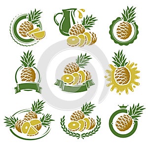 Pineapple labels and elements set. Vector