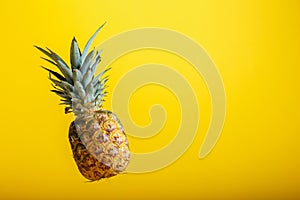 Pineapple levitation on color yellow background with copy space. Whole tropical fruit pineapple minimalism concept