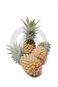 Pineapple local fruit
