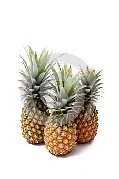 Pineapple local fruit