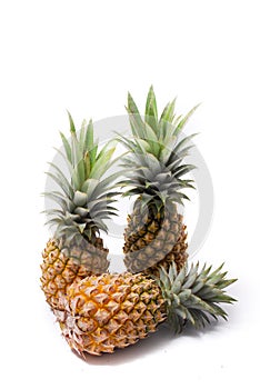 Pineapple local fruit