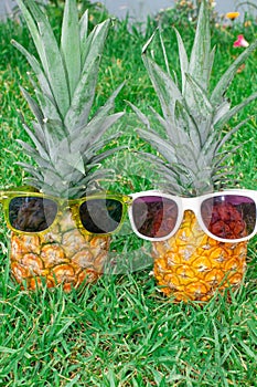 Pineapple mood. Two pineapples in sunglasses on the background of green grass.