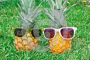 Pineapple mood. Two pineapples in sunglasses on the background of green grass.