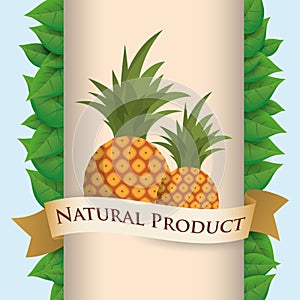 pineapple natural product poster ribbon