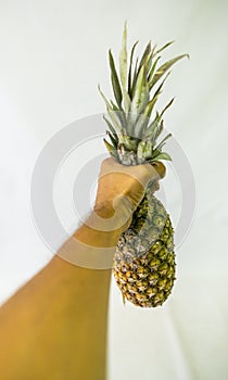 Pineapple is one of the most popular tropical fruits in Brazil