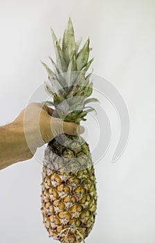 Pineapple is one of the most popular tropical fruits in Brazil