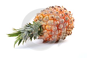 Pineapple photo