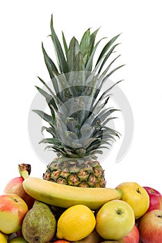 Pineapple and other fruit