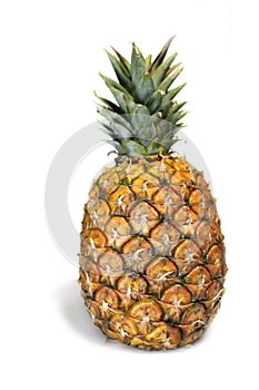 Pineapple over white