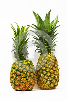 Pineapple Pair