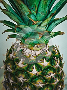 Pineapple peel at close range