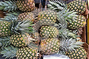 Pineapple