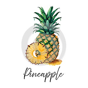 Pineapple and pineapple ring vector illustration.